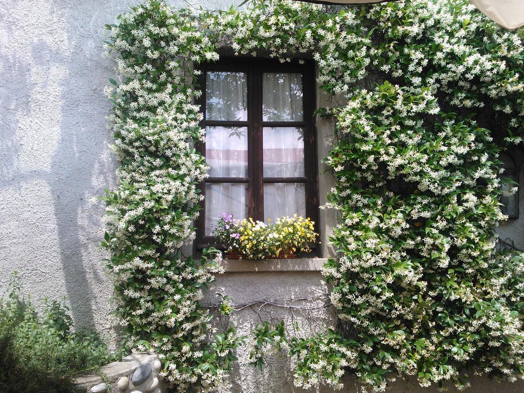 Agriturismo Cassinazza Orsenigo Pokój zdjęcie