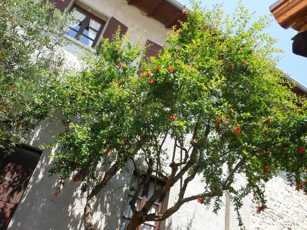 Agriturismo Cassinazza Orsenigo Zewnętrze zdjęcie
