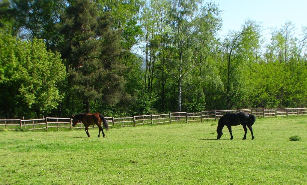 Agriturismo Cassinazza Orsenigo Zewnętrze zdjęcie
